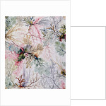 Textile design, c.1788-92 by William Kilburn