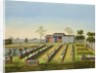 Nursery Garden, c.1820-40 by School Chinese