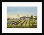 Nursery Garden, c.1820-40 by School Chinese