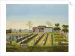 Nursery Garden, c.1820-40 by School Chinese