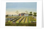 Nursery Garden, c.1820-40 by School Chinese
