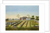 Nursery Garden, c.1820-40 by School Chinese