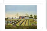 Nursery Garden, c.1820-40 by School Chinese