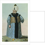 Selim II called 'Sari', the Blonde or the Sot, Sultan 1566-74 by John Young