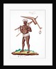 Labourer by Indian School