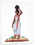 Water carrier by Indian School