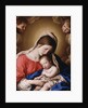 Madonna and Child by Il Sassoferrato