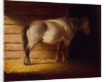 Old Field Horse, by 1856 by George Caleb Bingham