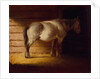 Old Field Horse, by 1856 by George Caleb Bingham