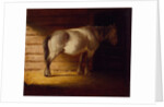 Old Field Horse, by 1856 by George Caleb Bingham