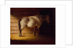 Old Field Horse, by 1856 by George Caleb Bingham