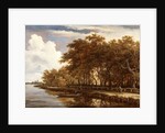 View Along the Amstel, c.1660 by Meindert Hobbema