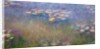 Water Lilies c.1915-26 by Claude Monet