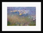 Water Lilies c.1915-26 by Claude Monet