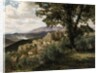 Olevano, 1856-57 by Albert Bierstadt