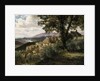 Olevano, 1856-57 by Albert Bierstadt