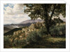 Olevano, 1856-57 by Albert Bierstadt