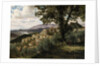 Olevano, 1856-57 by Albert Bierstadt