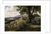 Olevano, 1856-57 by Albert Bierstadt