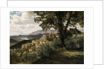 Olevano, 1856-57 by Albert Bierstadt