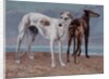 The Greyhounds of the Comte de Choiseul, 1866 by Gustave Courbet