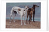 The Greyhounds of the Comte de Choiseul, 1866 by Gustave Courbet
