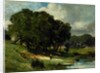 Woman Standing near a Pond, 1880 by Edward Mitchell Bannister