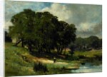 Woman Standing near a Pond, 1880 by Edward Mitchell Bannister
