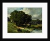 Woman Standing near a Pond, 1880 by Edward Mitchell Bannister