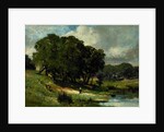 Woman Standing near a Pond, 1880 by Edward Mitchell Bannister
