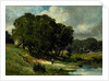 Woman Standing near a Pond, 1880 by Edward Mitchell Bannister