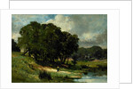 Woman Standing near a Pond, 1880 by Edward Mitchell Bannister