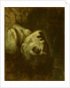 Head of a Drowned Man, c.1819 by Theodore Gericault