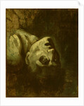 Head of a Drowned Man, c.1819 by Theodore Gericault