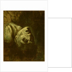 Head of a Drowned Man, c.1819 by Theodore Gericault