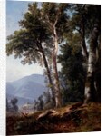 Woodland Landscape, c.1850 by Asher Brown Durand