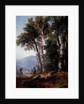 Woodland Landscape, c.1850 by Asher Brown Durand