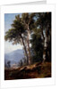 Woodland Landscape, c.1850 by Asher Brown Durand