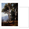Woodland Landscape, c.1850 by Asher Brown Durand