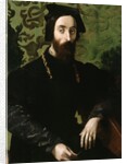Portrait of a Musician, c.1540 by Girolamo Mazzola Bedoli