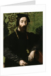 Portrait of a Musician, c.1540 by Girolamo Mazzola Bedoli