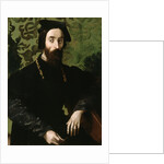 Portrait of a Musician, c.1540 by Girolamo Mazzola Bedoli