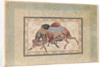 Two Camels Fighting by Anonymous
