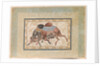 Two Camels Fighting by Anonymous