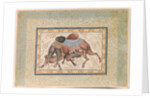 Two Camels Fighting by Anonymous