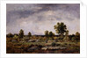 Landscape, 19th century by Narcisse Virgile Diaz de la Pena