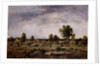 Landscape, 19th century by Narcisse Virgile Diaz de la Pena