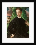 Portrait of a Florentine Nobleman, 1546-48 by Francesco de Rossi Salviati Cecchino