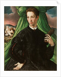 Portrait of a Florentine Nobleman, 1546-48 by Francesco de Rossi Salviati Cecchino
