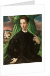 Portrait of a Florentine Nobleman, 1546-48 by Francesco de Rossi Salviati Cecchino
